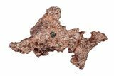 Natural, Native Copper Formation - Michigan #204833-1